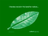 Florida Native Plant Society presentation: Native Flags